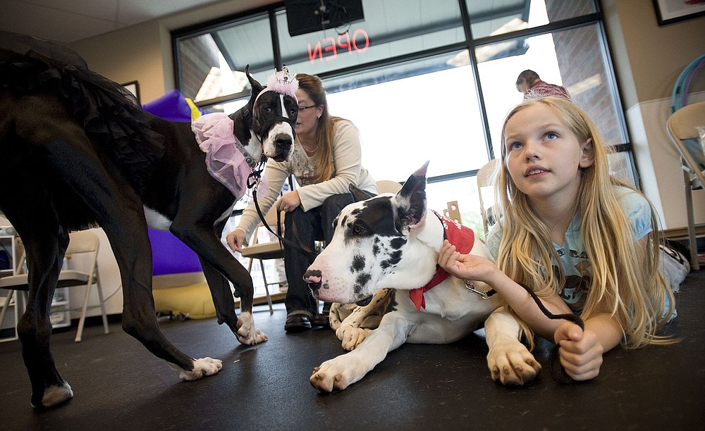 Brooke, left, a 1-year-old Great Dane, turned out as a princess, with owner Michelle Cumming, and Matisse, a 6-month-old Great Dane, with owner Corrie Hebert, show off at a Halloween party for dogs and their people at the Animal Enrichment Center Saturday.