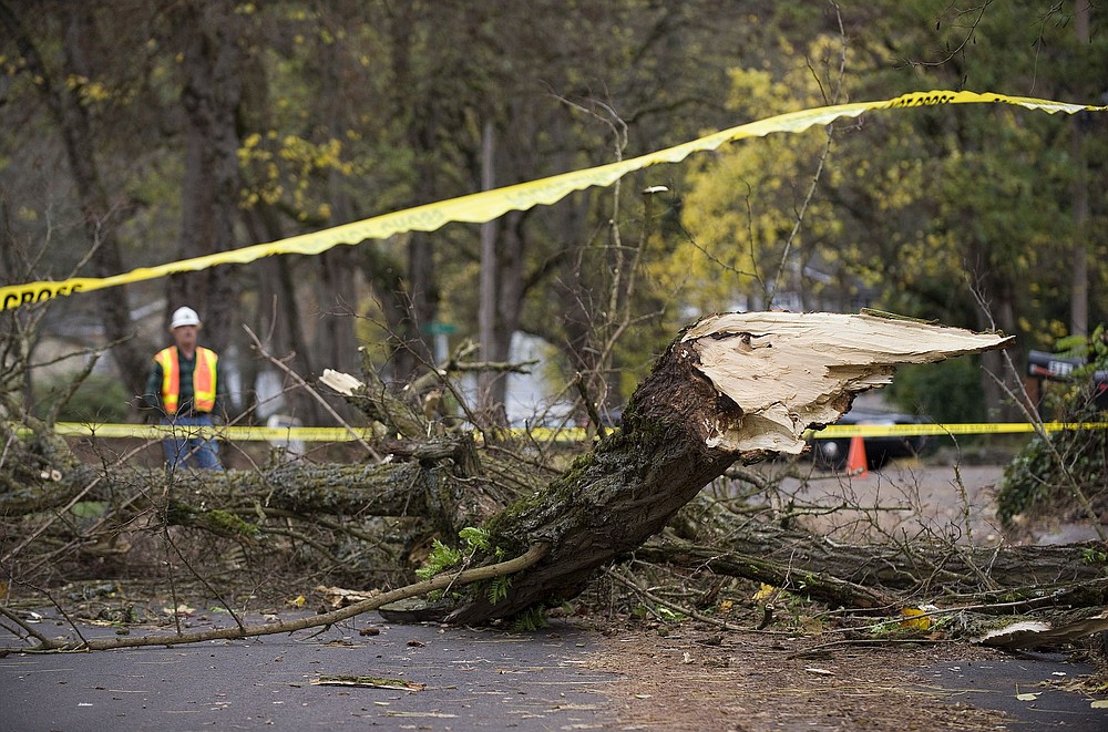 Photos by Steven Lane/The Columbian
A large tree limb blocks Edwards Lane near Evergreen Boulevard east of Harney Elementary School on Monday. Forecasters expect continued blustery weather through the week.
