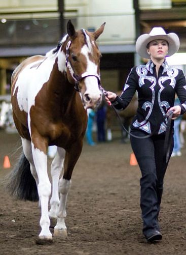 La Center: Kaylee Hammack, 15, leads her award-winning pinto horse Buster Welsh.