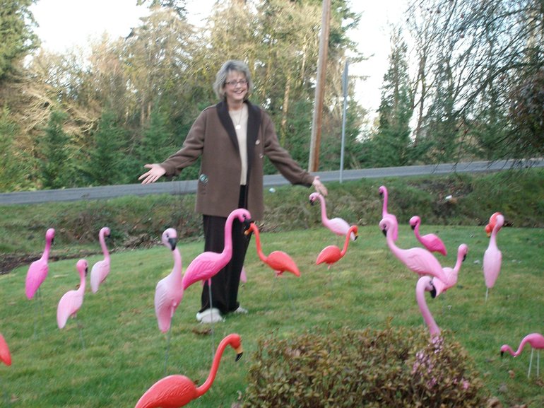 Connelly Family
Peggy Connolly enjoys her Felida yard with 38 flamingo decorations that friends obtained to cheer her up and help her deal with cancer. Thirty-five of the flamingos were stolen Wednesday morning and Connolly wants them returned.
