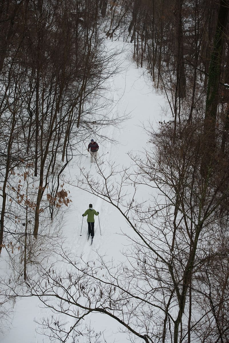 Cross-country skiers cross paths in Sligo Creek Park in Takoma Park, Md., in February.