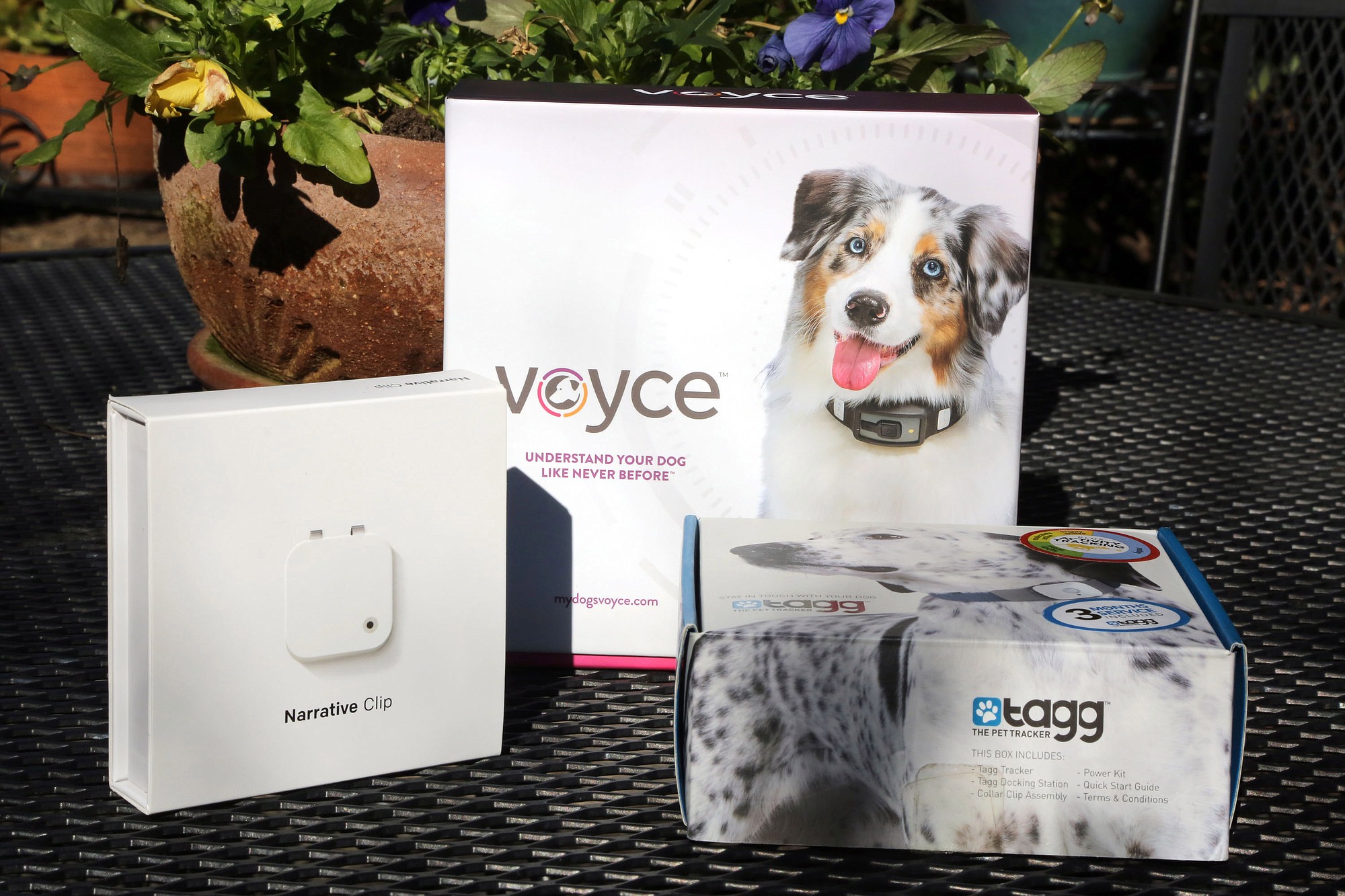 Three pet tech devices, from left: the Narrative Clip, a wearable camera; Voyce, a device that tracks a pet's activity level; and Tagg, a pet-tracking device.
