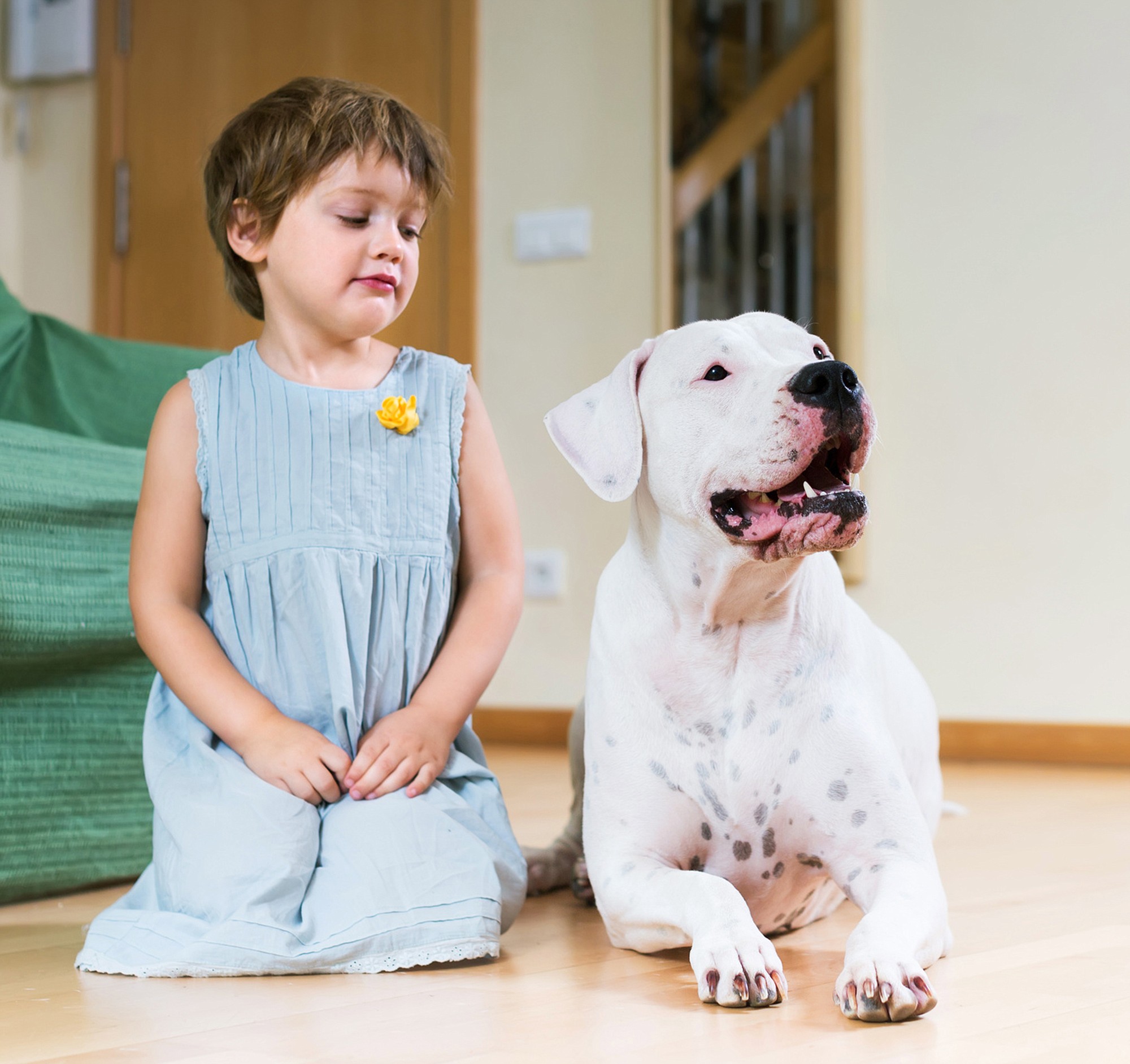 Fotolia
Capitalizing on kids' natural empathy with animals can help them overcome their fear of your pet.