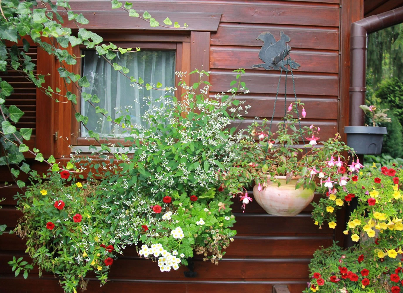 Robb Rosser
Hanging flower baskets add a splash of color to the house and garden in mid-spring.
