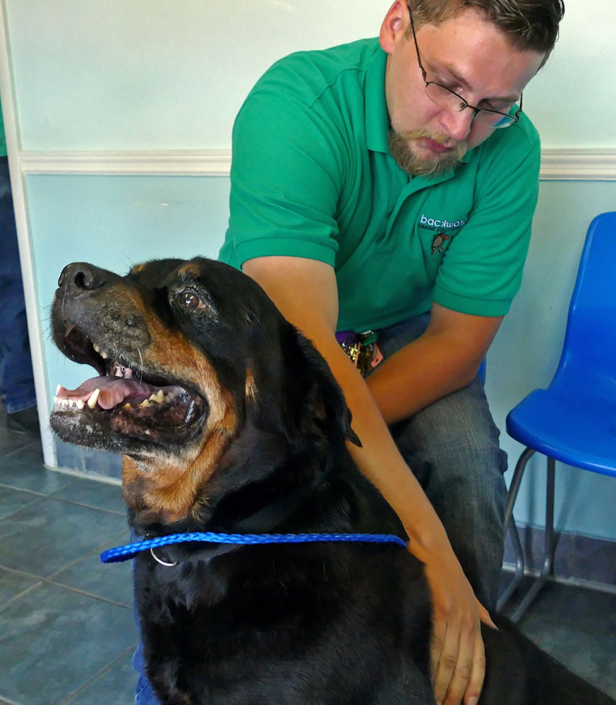 Joshua Edwards reunites with his Rottweiler, Duke, after an eight-year absence, at the Tamiami Animal Hospital in Miami on Tuesday.