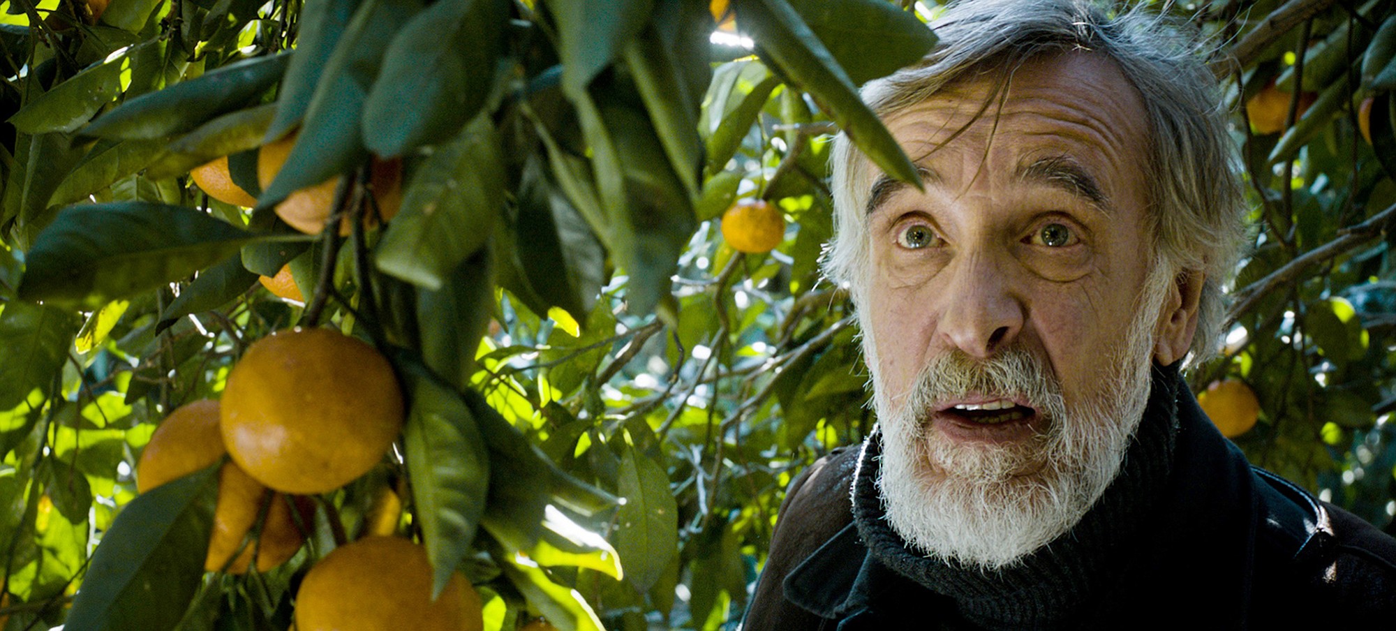 Samuel Goldwyn Films
Lembit Ulfsak plays Ivo, the Estonian hero of &quot;Tangerines.&quot;