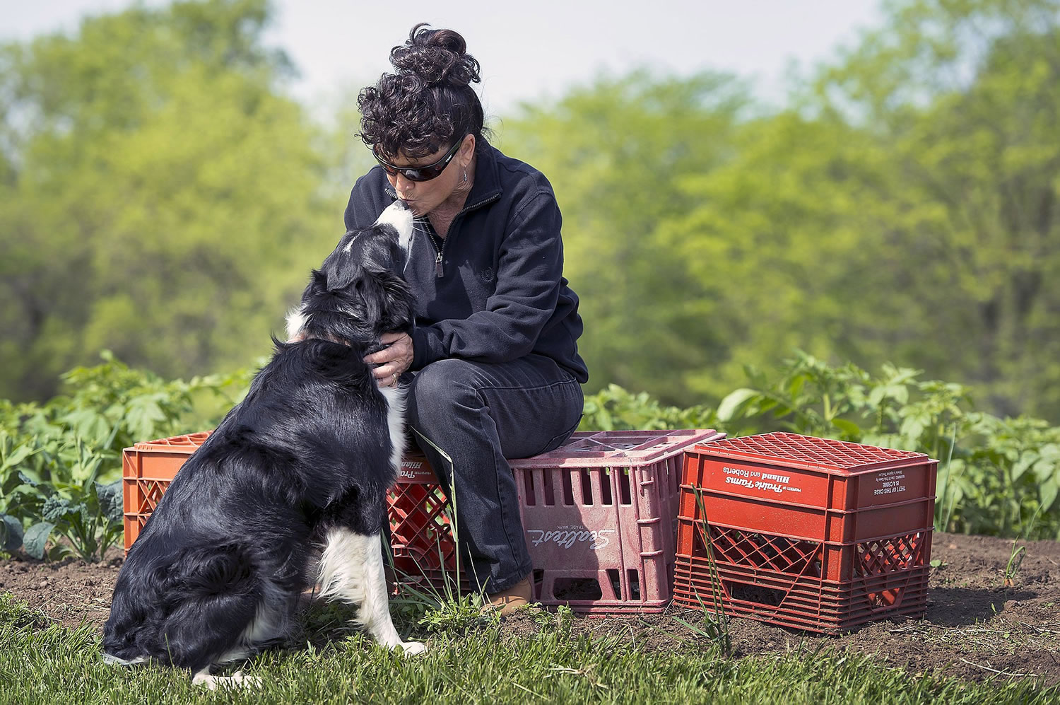 Alda Owen, 63, who is legally blind, gets a kiss May 13 from her dog and companion, Sweet Baby Jo, a 3-year-old border collie who is her constant companion, on her farm near Maysville, Mo., in DeKalb County.