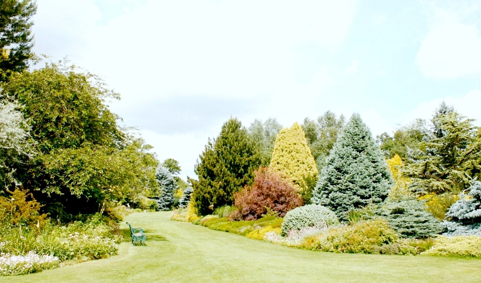 ROBB ROSSER
Plant-filled borders are perfectly framed by a lush, well-mown lawn.