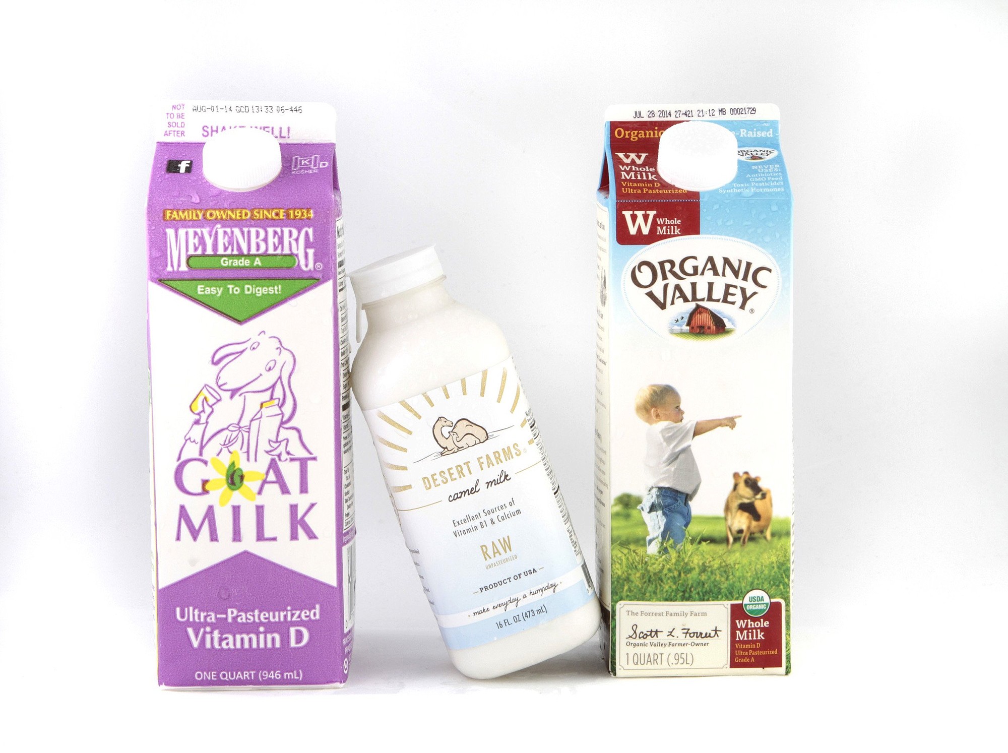 With no appreciable difference in taste from cowu2019s milk, camelu2019s milk has half the fat and about 40 fewer calories per cup. But a pint costs about $16 to $19 online.