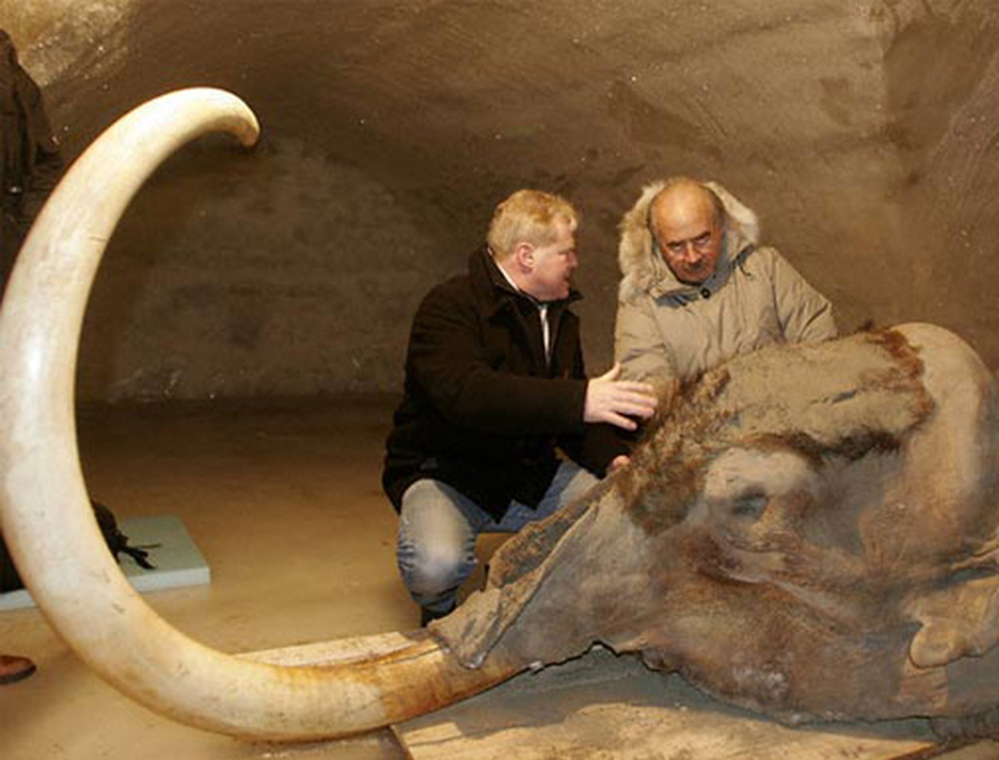 Scientists 'resurrect' gene of mammoth - The Columbian