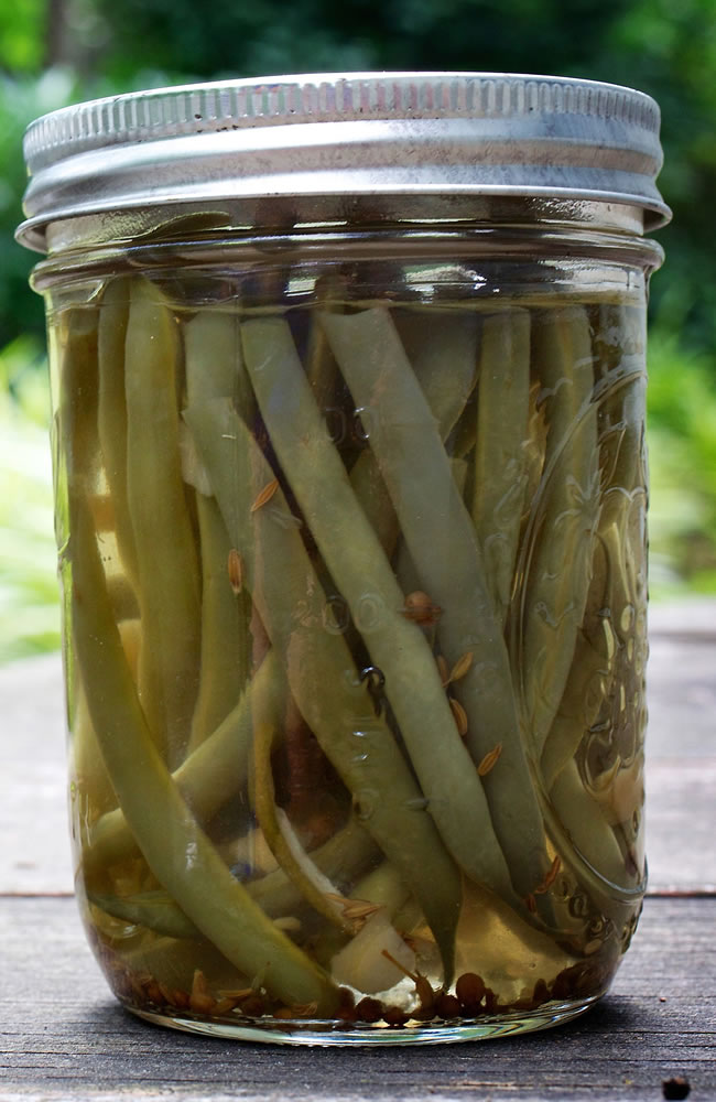 Curry Spiced Pickled Green Beans