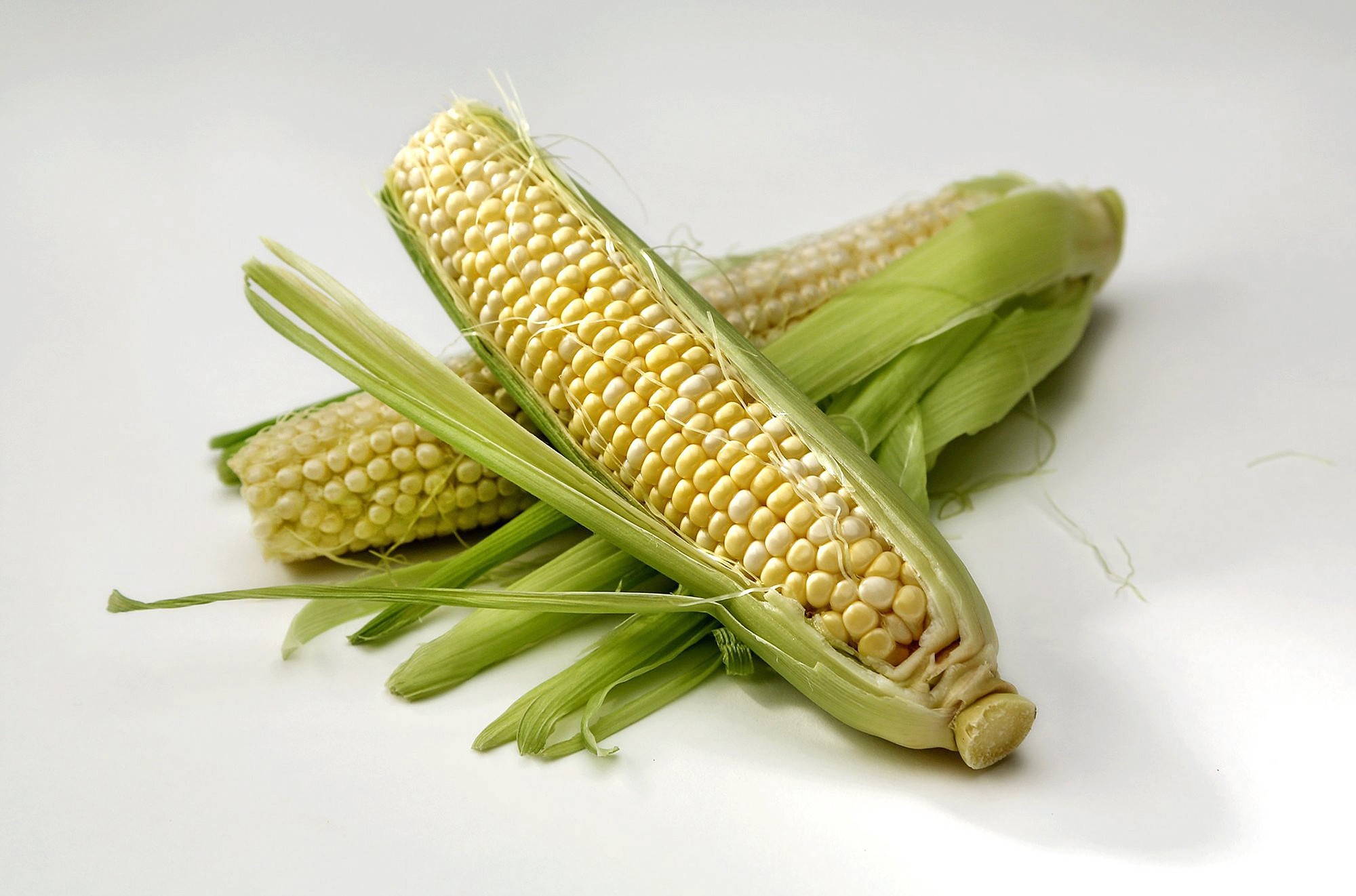 There are many creative ways to serve the seasonal bounty of corn, pictured, tomatoes, zucchini, eggplant and peppers for the family to enjoy.
