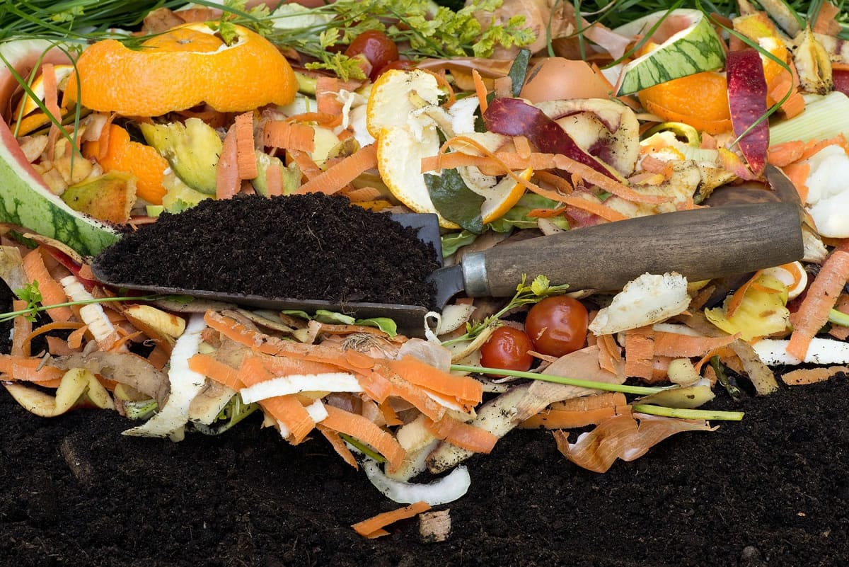 Fotolia
The composting of kitchen scraps is growing in popularity.
