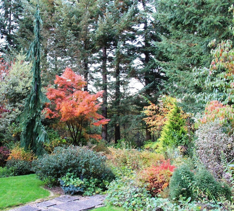 Fall is a period of transition for the garden and the gardener.
