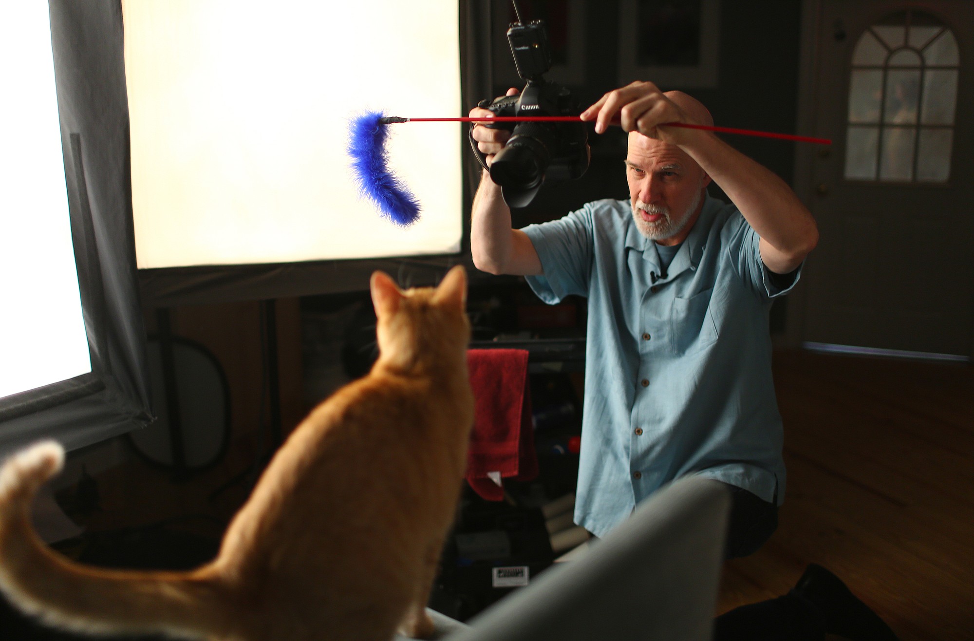 Photographer David Sutton photographs Clifford the cat on Sept.