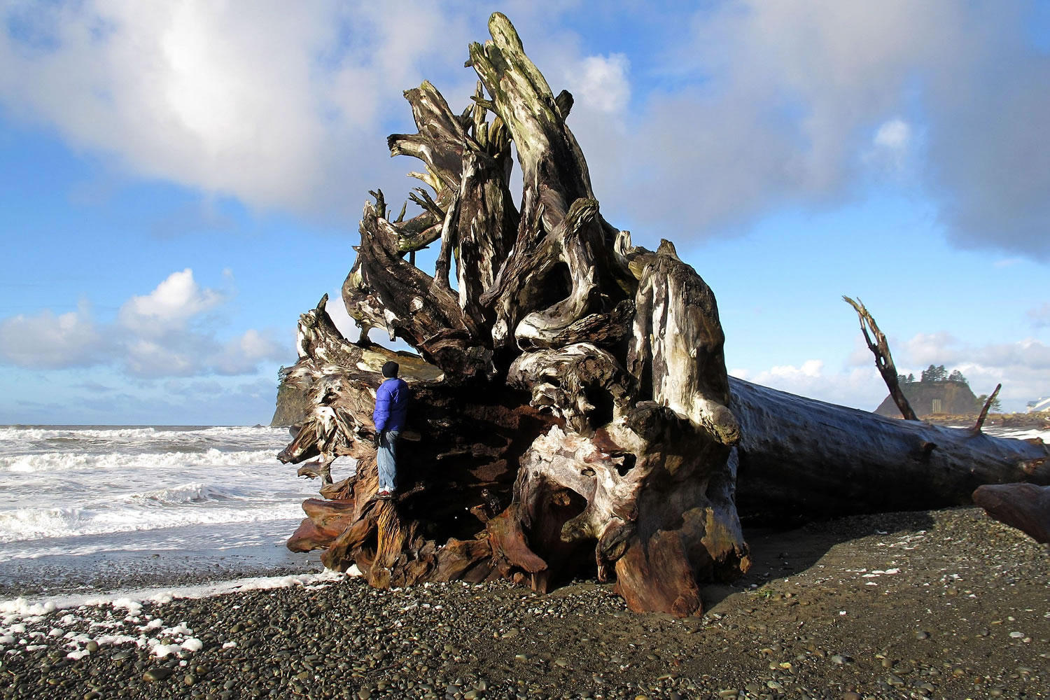 After a storm, the sun sometimes emerges at First Beach in La Push, on the Olympic Peninsula, where a visitor clambers on massive driftwood.
