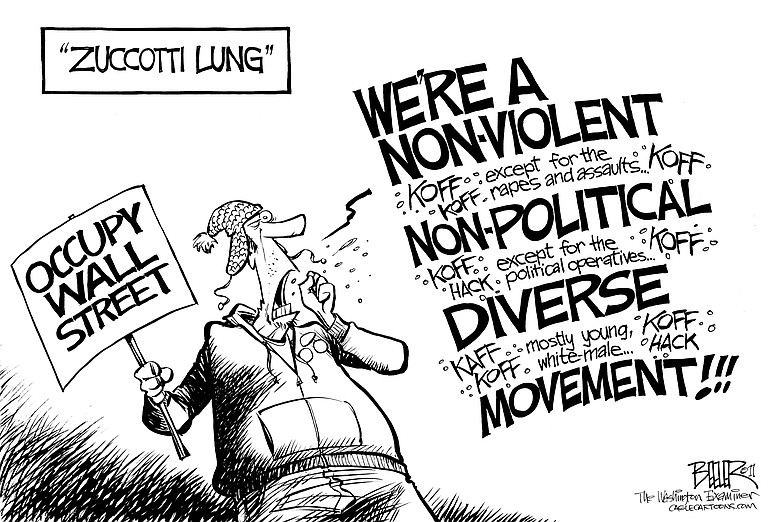 Defining Occupy Protesters
