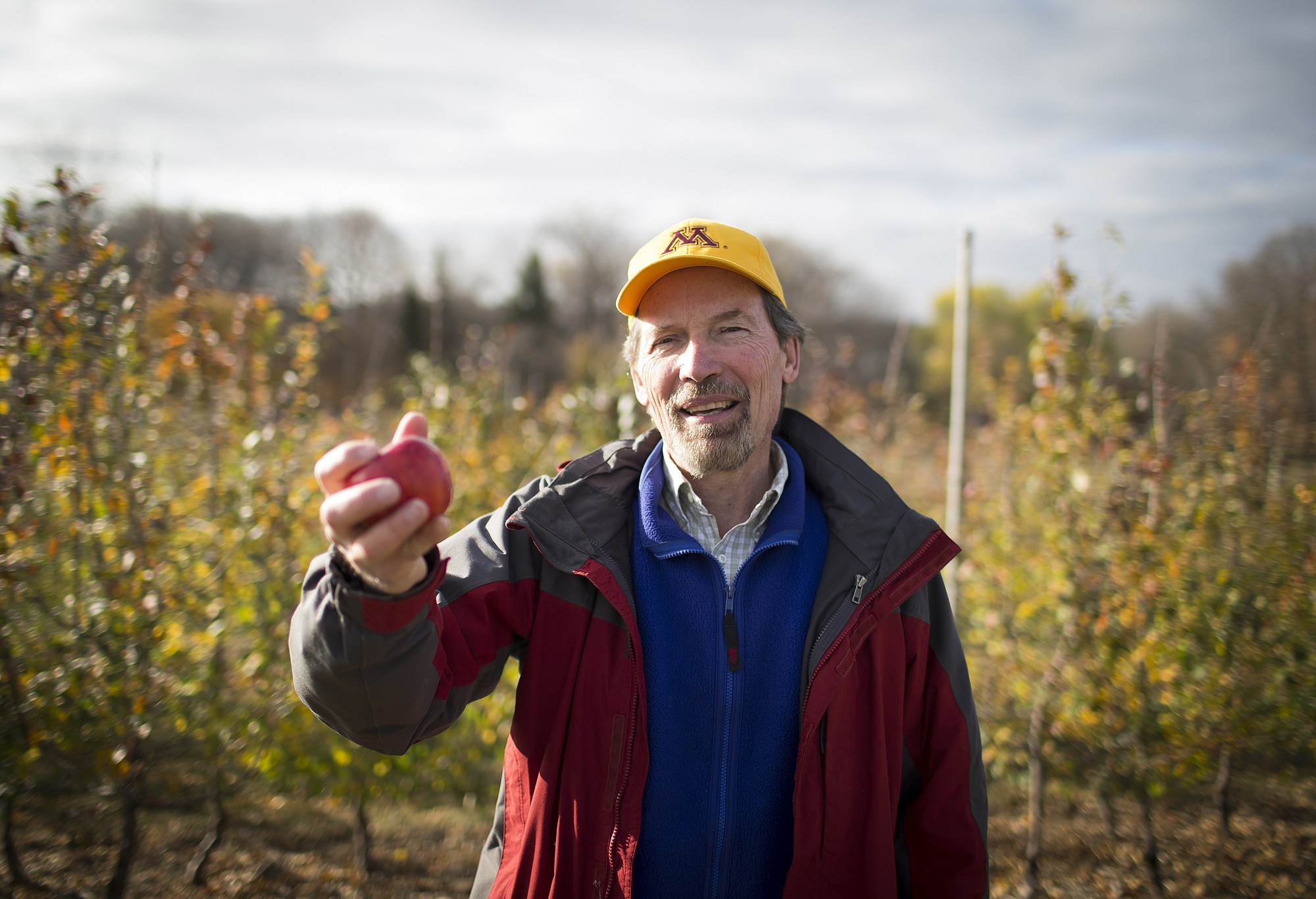 David Bedford, pictured at the University of Minnesota apple orchard in Excelsior, Minn., is looking for the next great apple variety.