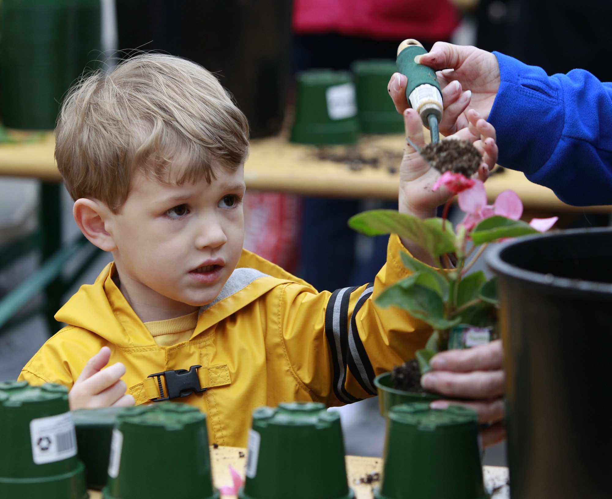 Jett Lader, 4, plants a flower at the St. Paddy's for Kids celebration Saturday at Shorty's Garden and Home.