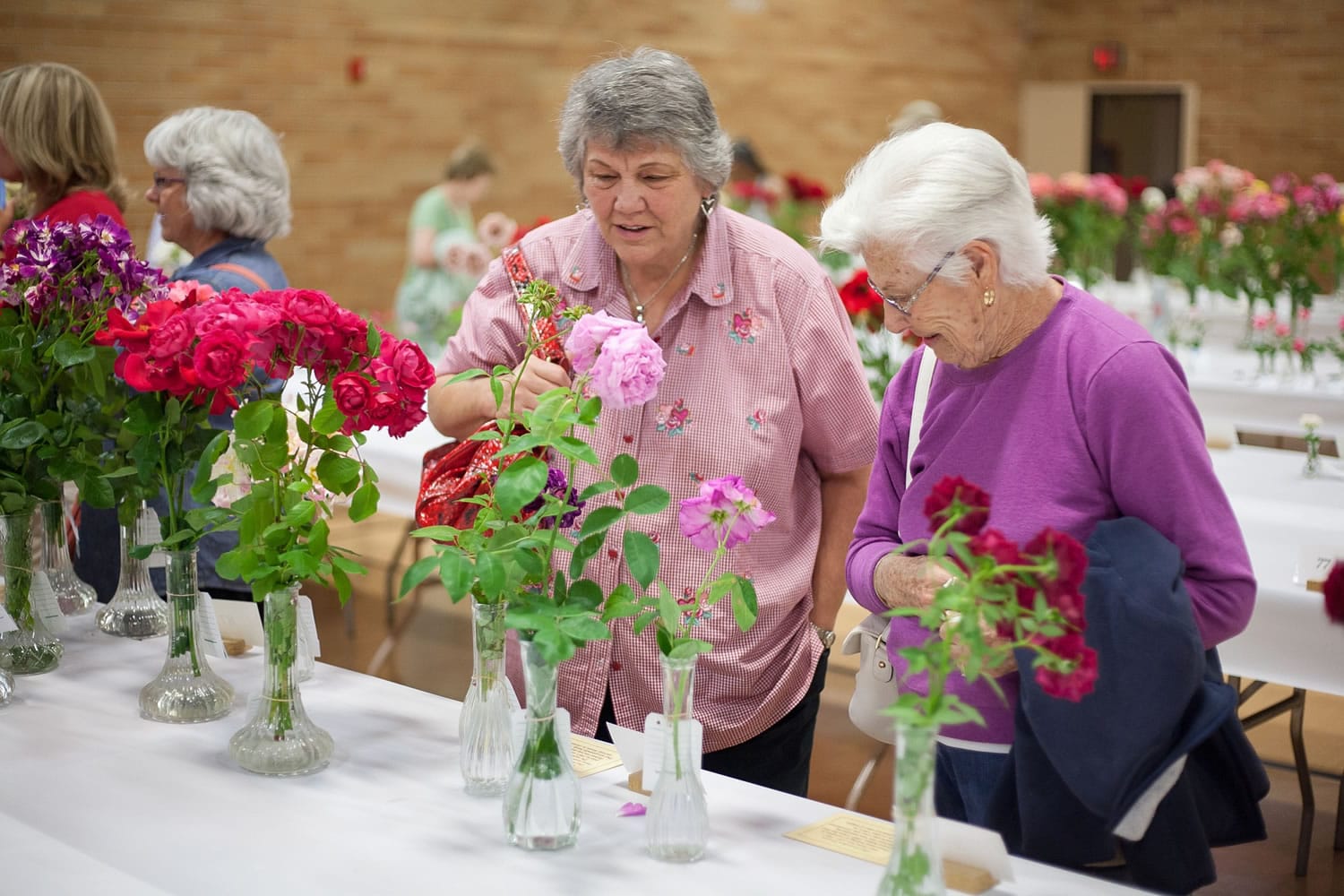 Two guests look at roses at the 62nd annual Rose Show, held at the Vancouver First Church of God.