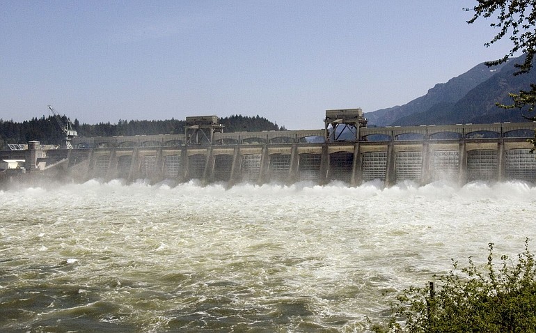 Water rushes through spillway gates of Bonneville Dam near Cascade Locks, Ore.
