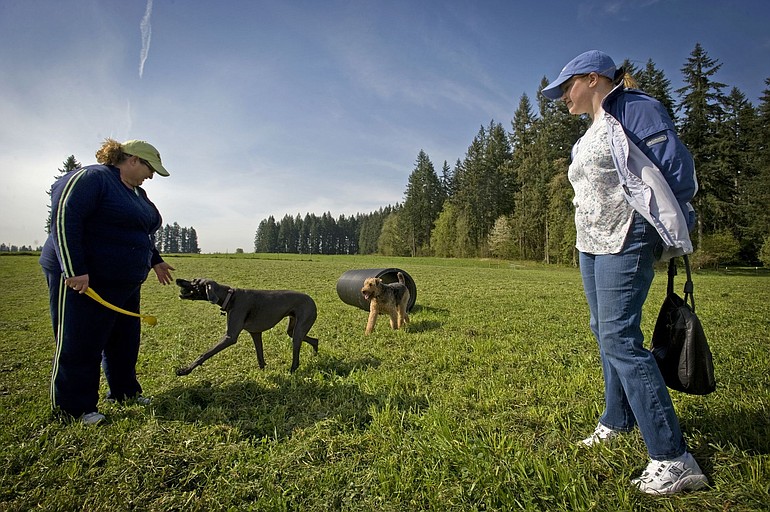 DOGPAW board member Arleen Chester, left, greets her dogs Arliss, left, and Annabelle, while DOGPAW President Kathleen Hansen looks on at Brush Prairie Off-Leash Area.