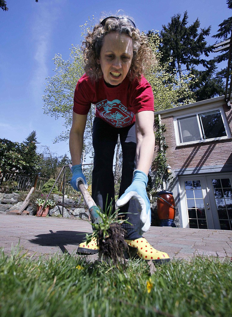 Jane Witmer pulls weeds from her lawn with a hand tool.