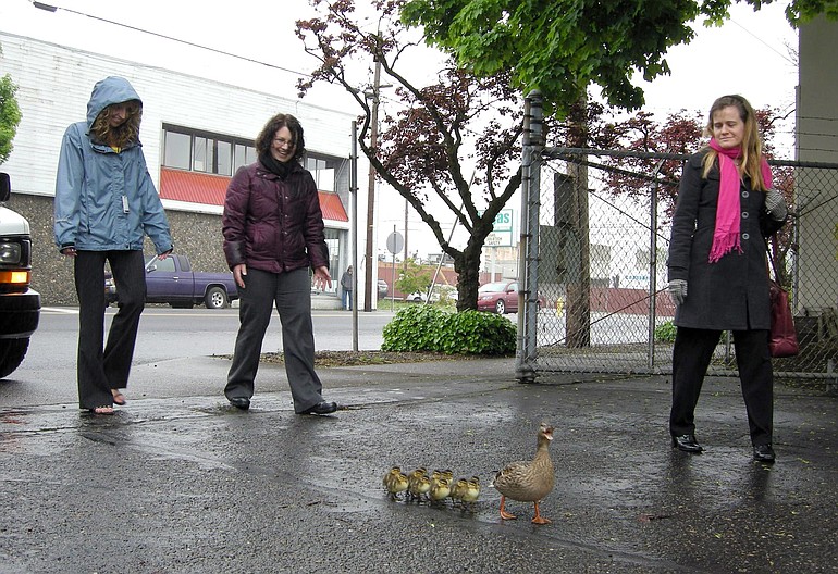 A mother duck and 12 ducklings were on the receiving end of a good deed Monday, as five office workers gently ushered the family two blocks toward the river through downtown Vancouver.