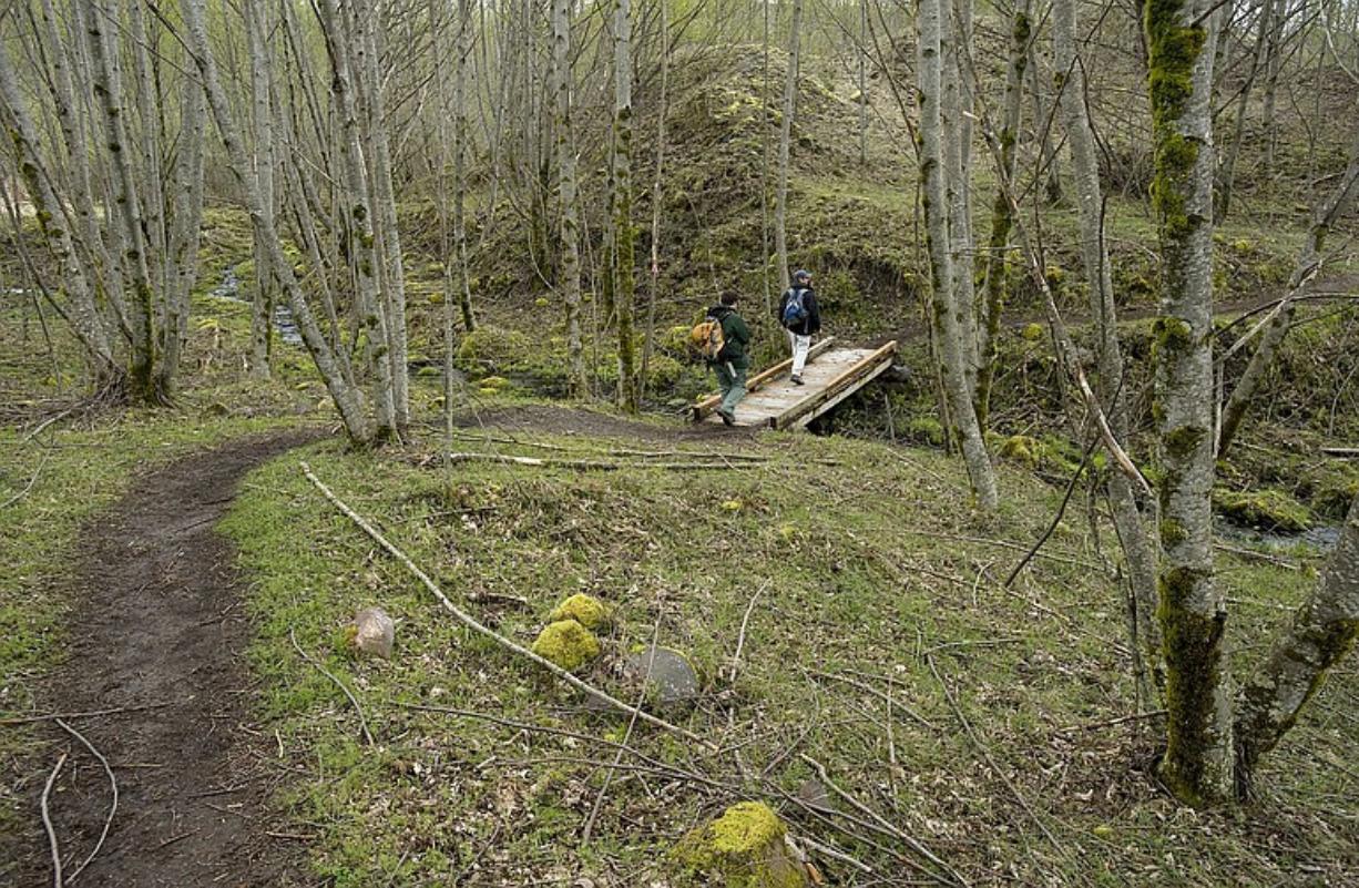 Volunteers have built and rebuilt footbridges on the Hummocks Trail above the North Fork Toutle River as the constantly shifting streams have rerouted themselves across the path.