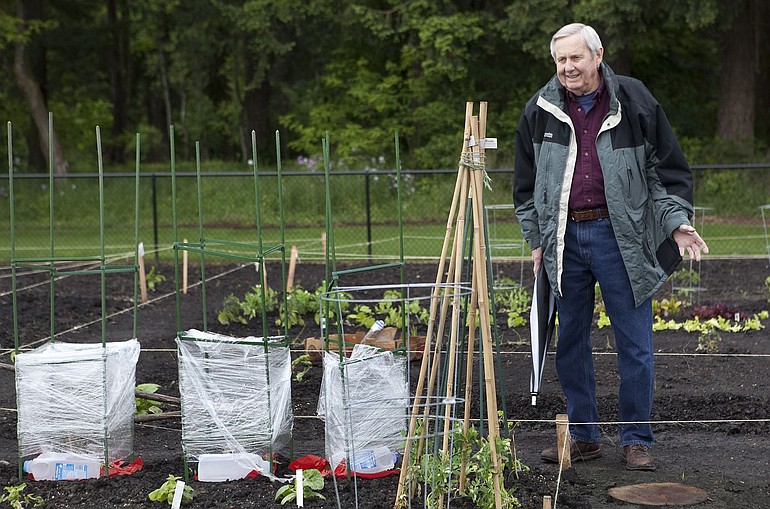 Bill McFee, a member of the Fircrest Neighborhood Association, owns a plot at Leroy Haagen Community Park in east Vancouver, which fell victim to vandalism last month.
