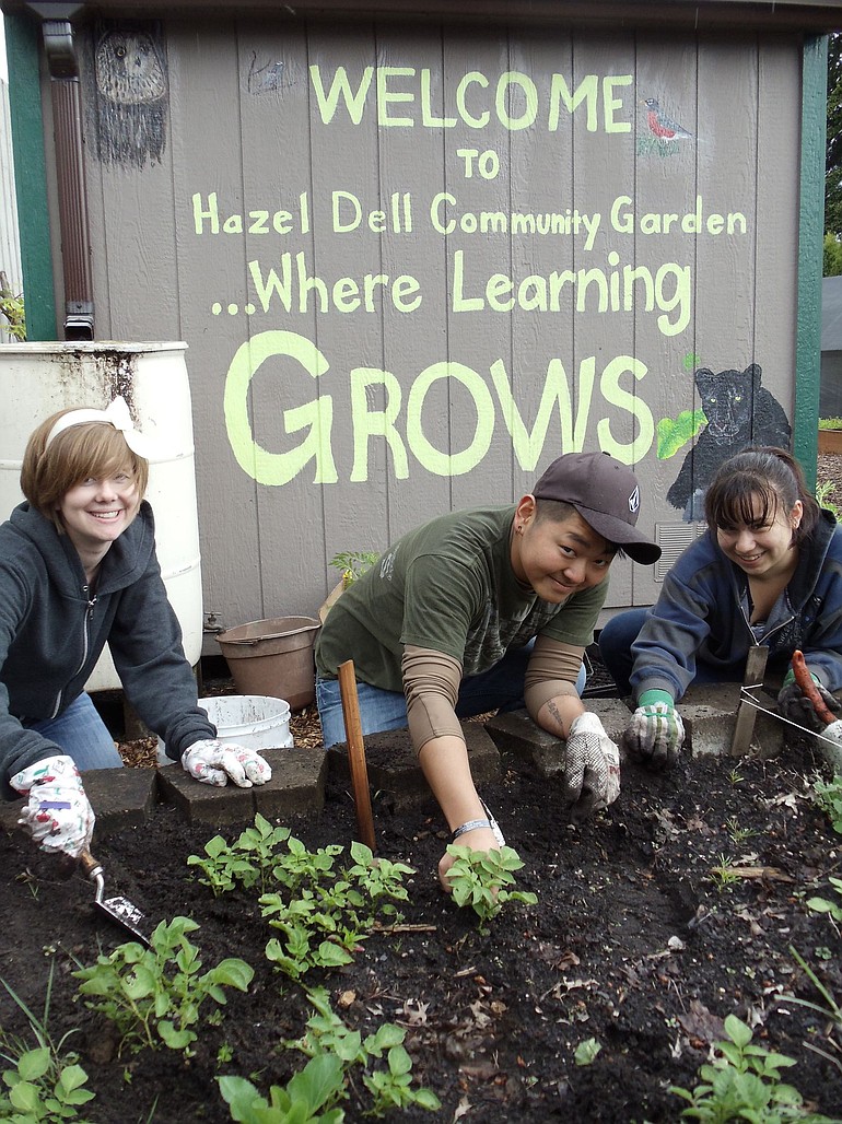 Northeast Hazel Dell: Clark College students Kathleen Guest, left, Kyle Andrews and Yeimy Alegria helped plant flowers and vegetables in the Hazel Dell School and Community Garden on May 25.