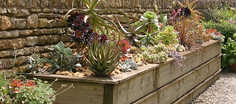 Planters and decorative containers add structure to the garden and offer opportunity to experiment with plants before adding them to the yard.