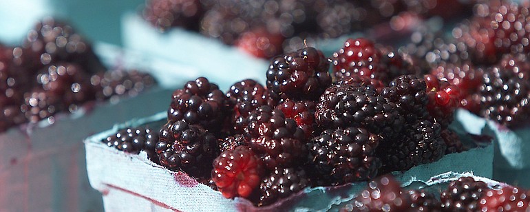 Freshly picked, local blackberries laskjdfl;kasj df;lkj asld;fkj l;kasjdf l;kjas dfl;kj as;ldfkj ;alksdfj ;.