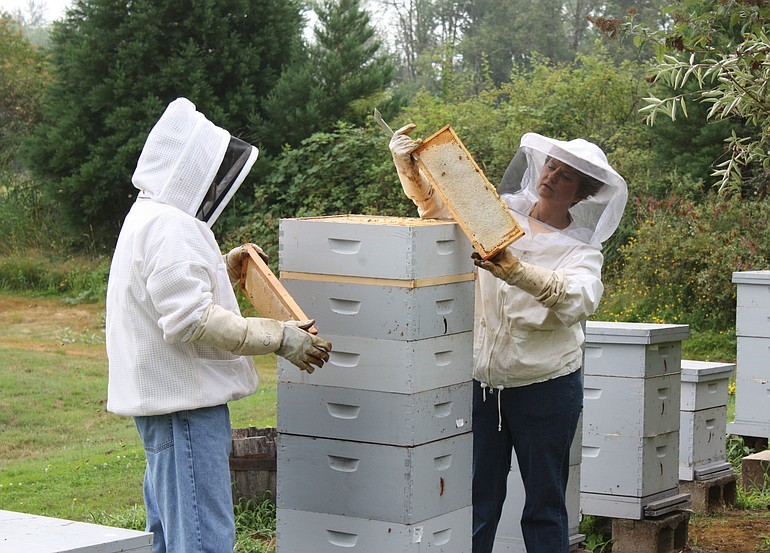 Chuck and Judy Pepper check one of their bee colonies.