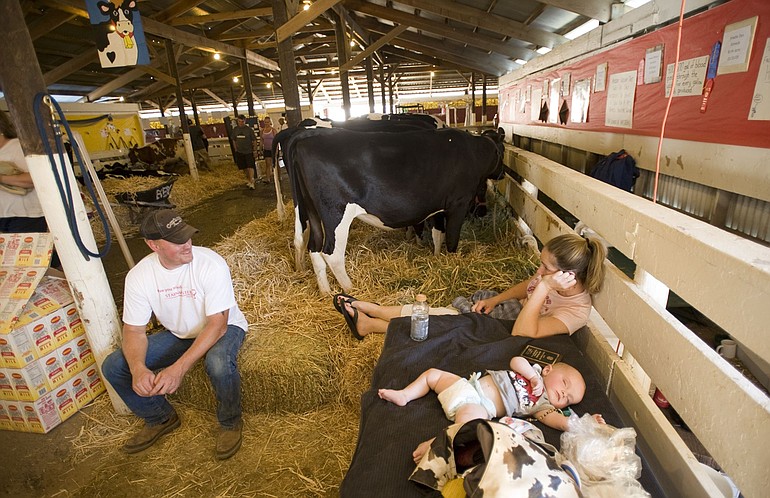 Andy Meuchel, left, Jenny Kennedy and Westin Hodges, 6 months, swelter and snooze on the final day of the Clark County Fair.