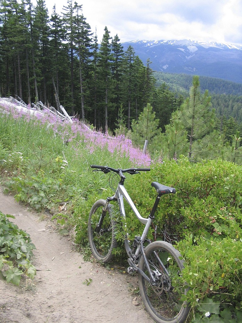 Surveyor's Ridge trail on Mount Hood has a mix of single-track and double-track conditions.