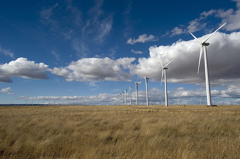 Hundreds of wind turbines rise from the dryland wheat country of eastern Klickitat County, where wind farms are permitted outright under county zoning.
