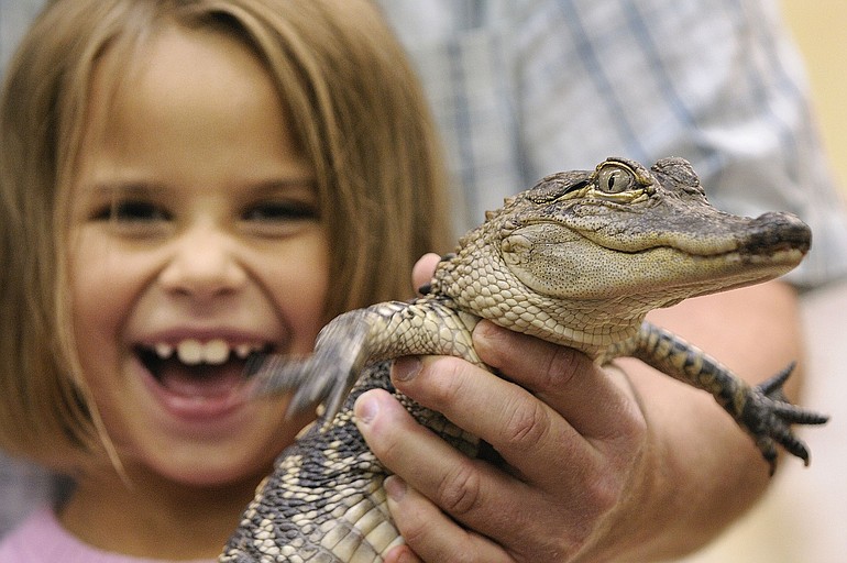 Richard Ritchey, the &quot;Reptile Man,&quot; gives Maggie Hernandez, 7, an opportunity to hold D.B. Cooper.