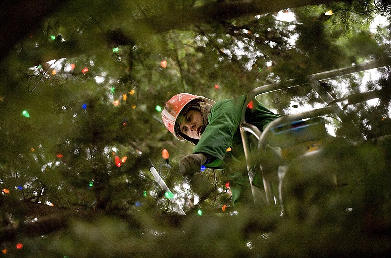 Cody Taplin, 25, of St. Mary's Services hangs lights on the community tree in Esther Short Park on Monday.