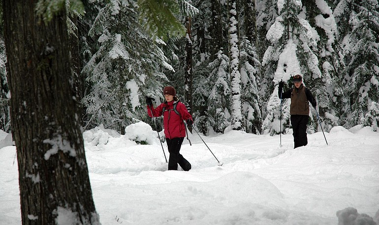 A pair of cross-country skiers head back toward the Oldman Pass Sno-Park at the Upper Wind River Winter Sports Area in the Gifford Pinchot National Forest.