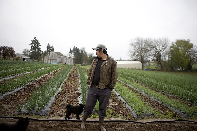Greg Valdivia checks onion and garlic rows at Northwest Organic Farm, where he and wife Joyce Haines run a community supported agriculture program operation.