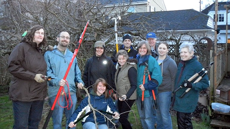Volunteers with Tending the Urban Orchard pruned the apple tree of Kate and James Ketcham.