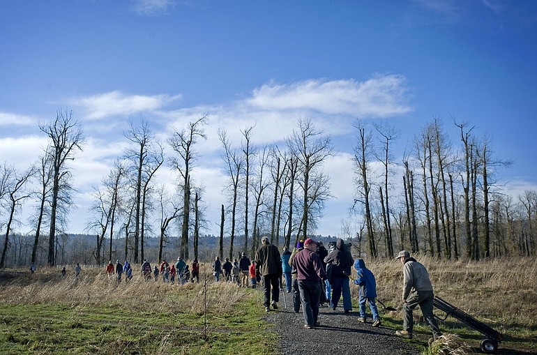 Dozens of volunteers head out to help the Lower Columbia River Estuary Partnership plant hundreds of native seedlings in the Steigerwald Lake National Wildlife Refuge on Saturday.