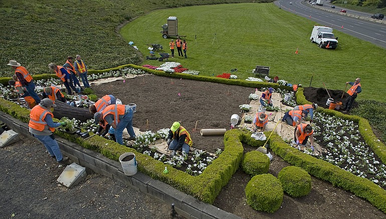 About 20 volunteers from the Master Gardeners Foundation of Clark County plant approximately 2,500 flowers below the Welcome to Washington sign along northbound Interstate 5 on Saturday.
