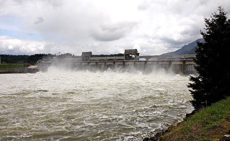 The U.S. Army Corps of Engineers has already evaluated Bonneville Dam's earthquake vulnerability. The review led to repairs of one of the navigation locks.
