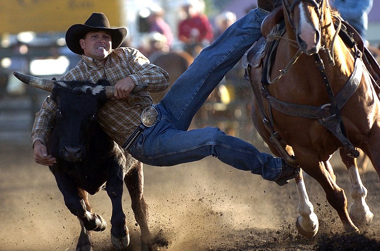 The Vancouver Rodeo returns for its 41st year with steer wrestling and many other activities.