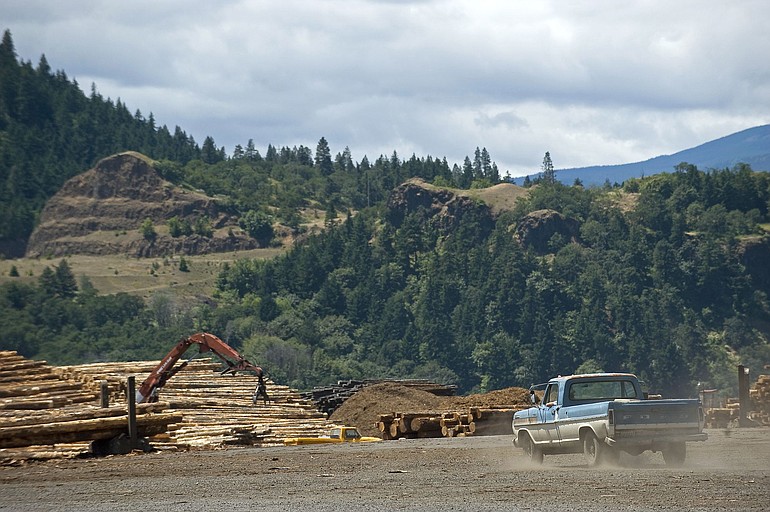 Timber was the mainstay of the Gorge economy in Skamania and Klickitat counties until the early 1990s, when federal timber sales plummeted. SDS Lumber Co.
