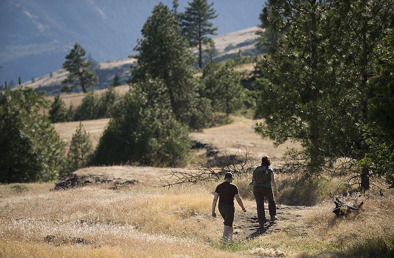The Catherine Creek watershed, site of a former ranch purchased and restored by the Forest Service, draws hikers to trails through oak and pine woodlands and spring wildflower spectacles.
