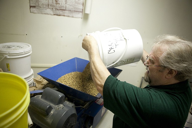 Larry Pratt, brewmiester at Salmon Creek Brewery, pours malt and barley into a grinding machine during the beer making process.