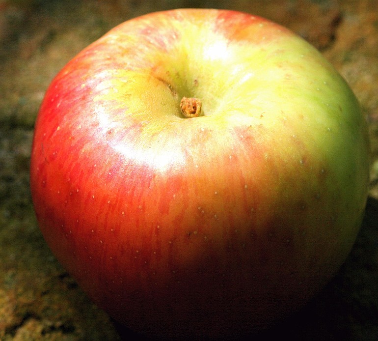 Antioxidants in the peel of the apple help fight aging.